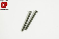 画像1: [Creatifinity Parts] 35mm 3・4弦用 チタン製 オクターブ調整 スクリュー 2本セット ミリ規格 ジャズベース プレシジョンベース等のアップグレードパーツ (1)